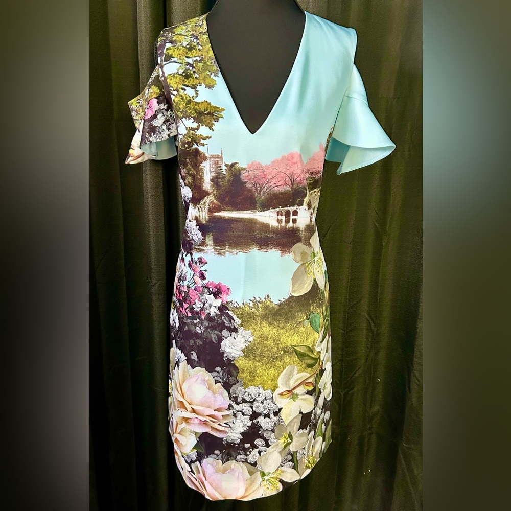 Ted Baker London Cold Shoulder Pond Scene Dress, Size 2
